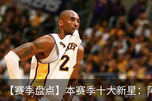 【赛季盘点】本赛季十大新星：阿门杜伦在列 25届前4质量太高了！