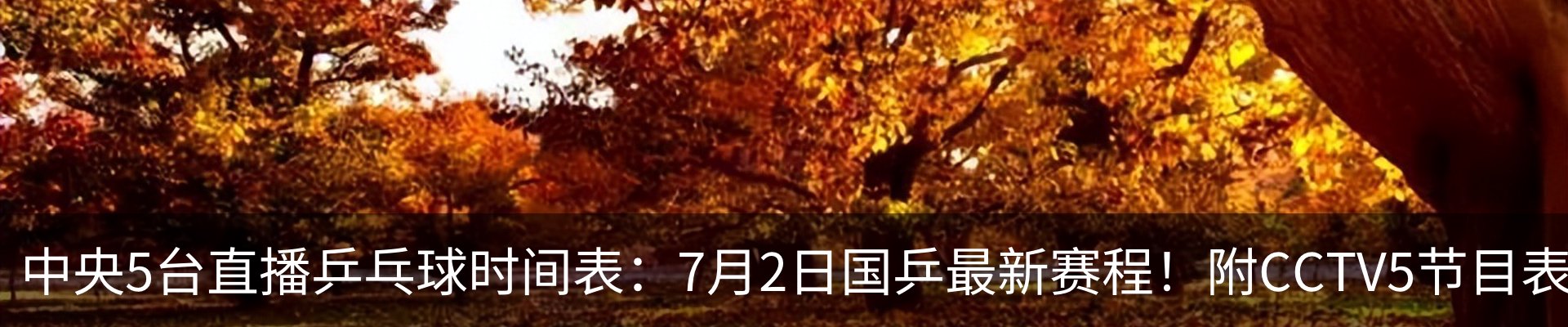 新闻中心